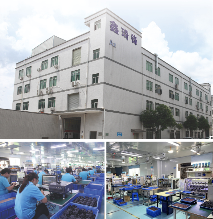 xinqifeng fan | XQF FAN